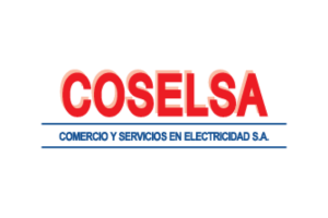 coselsa logo